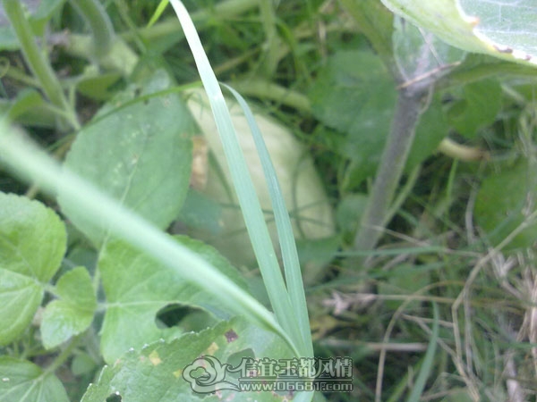 201110032869.jpg