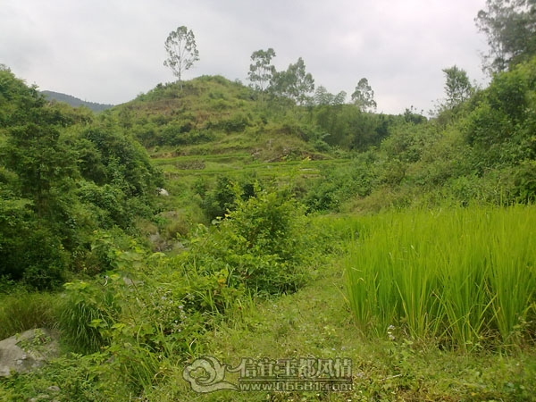 201110032911.jpg
