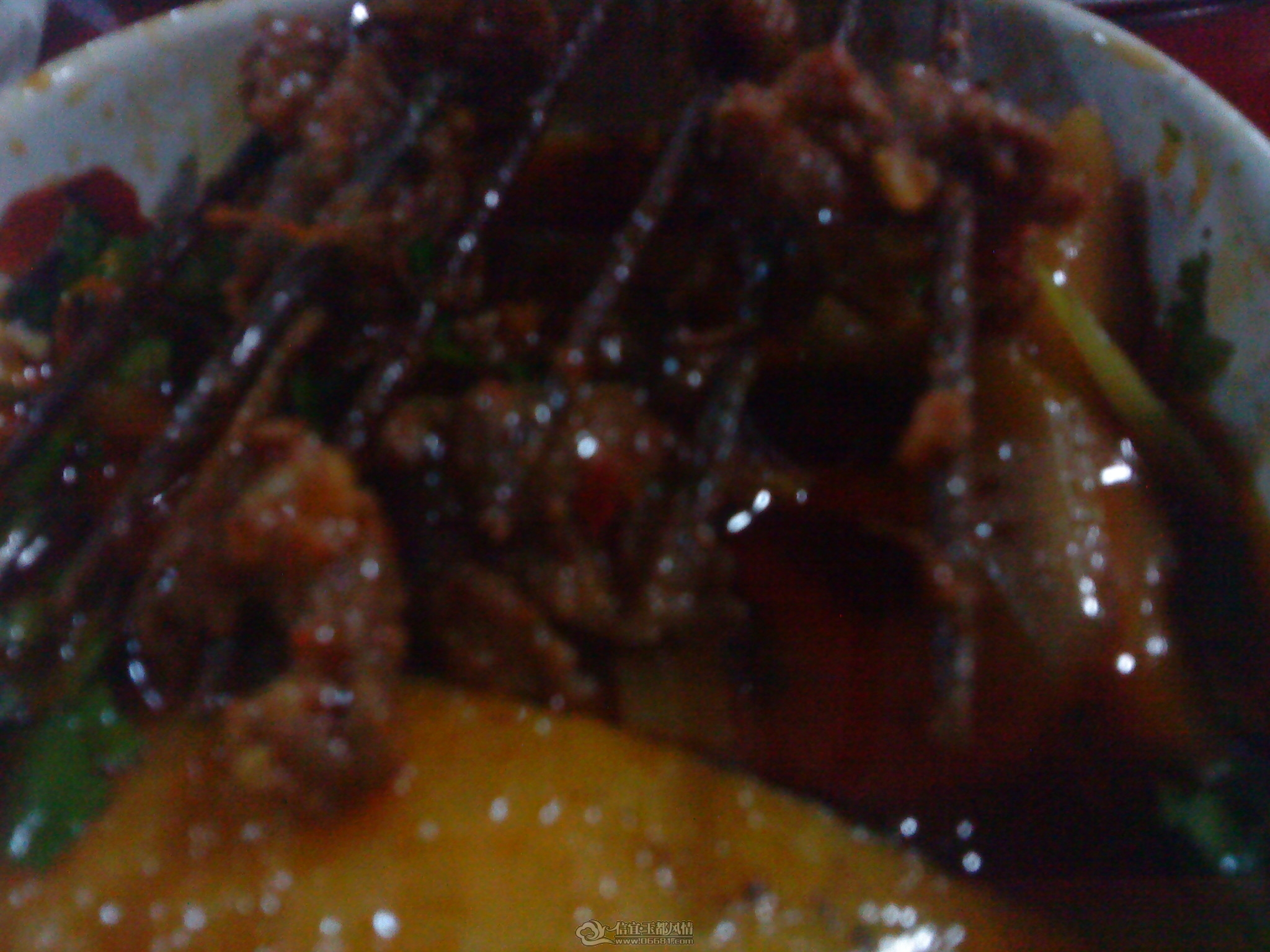 DSC05946.JPG