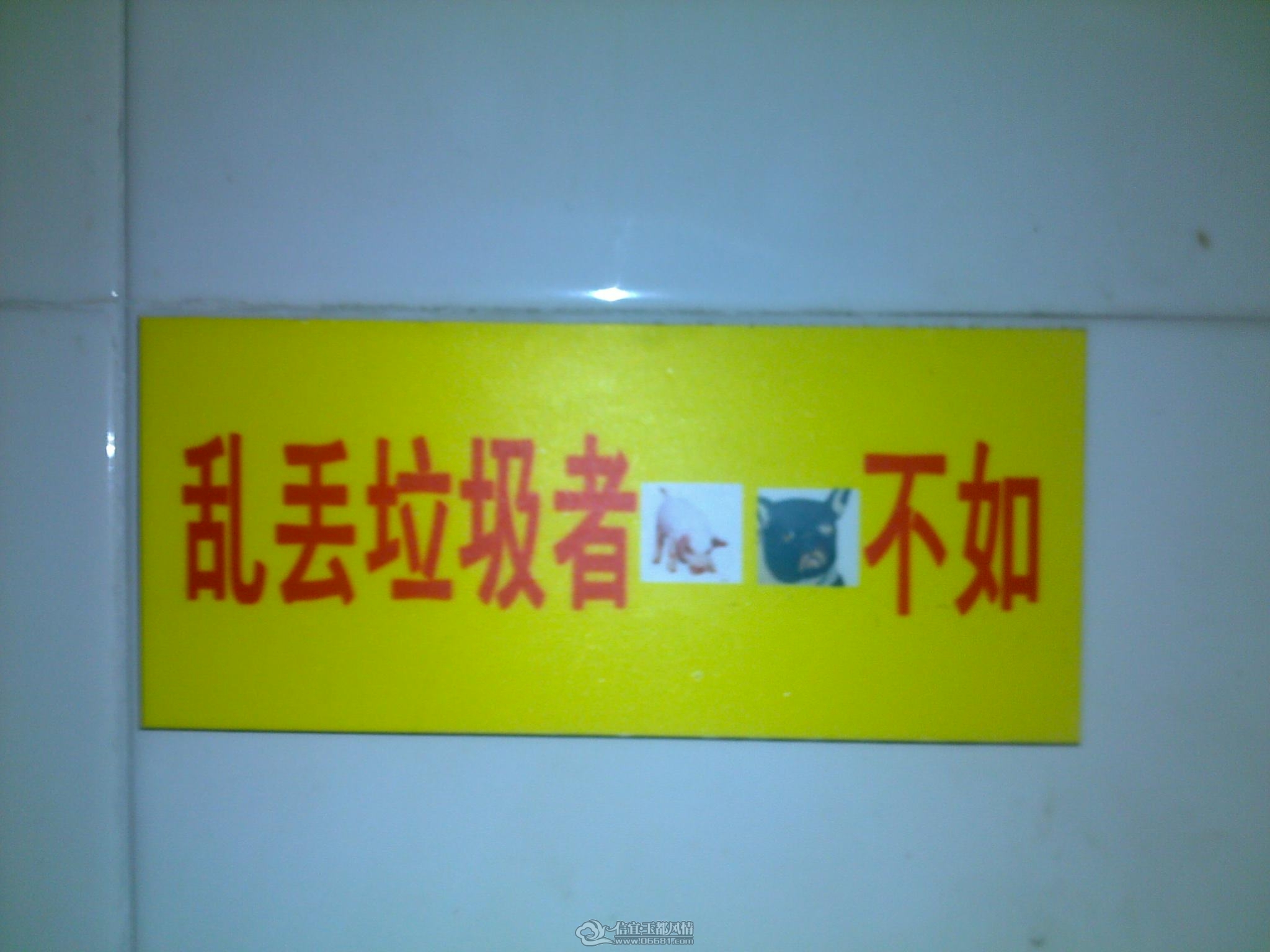 20111011464.jpg