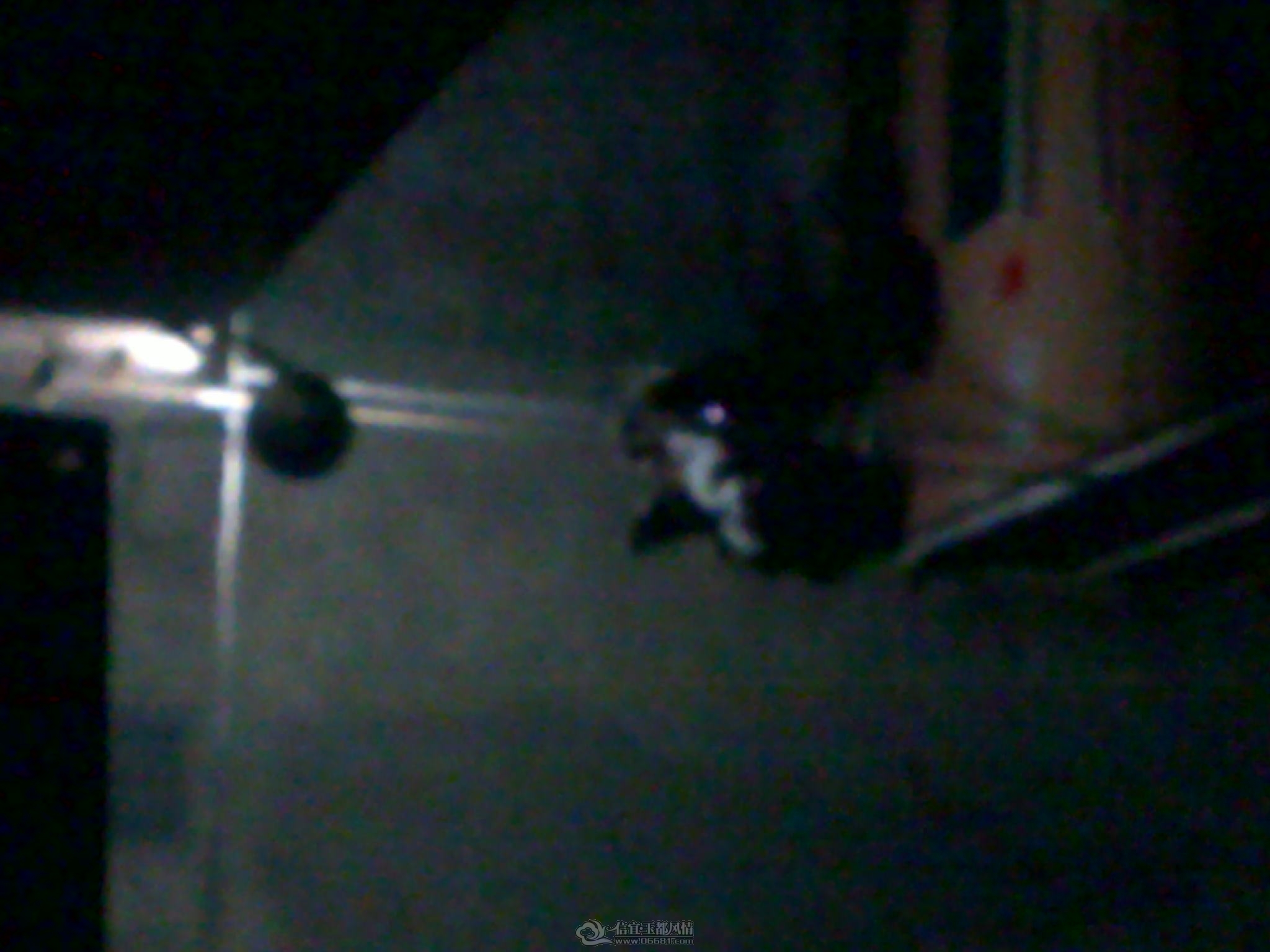 20111018531.jpg