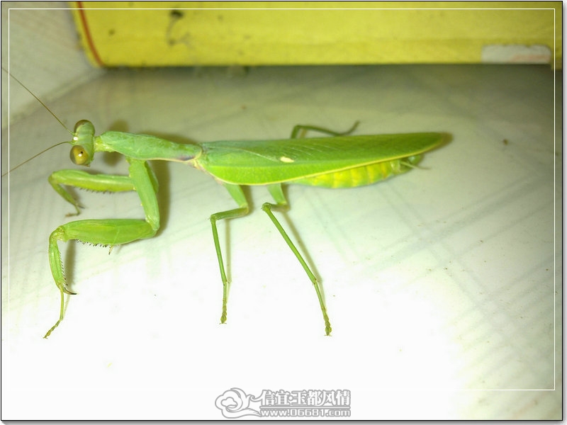 20111012164_1_1.jpg