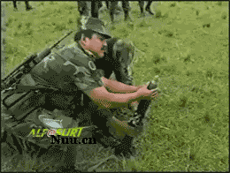 δ����.gif