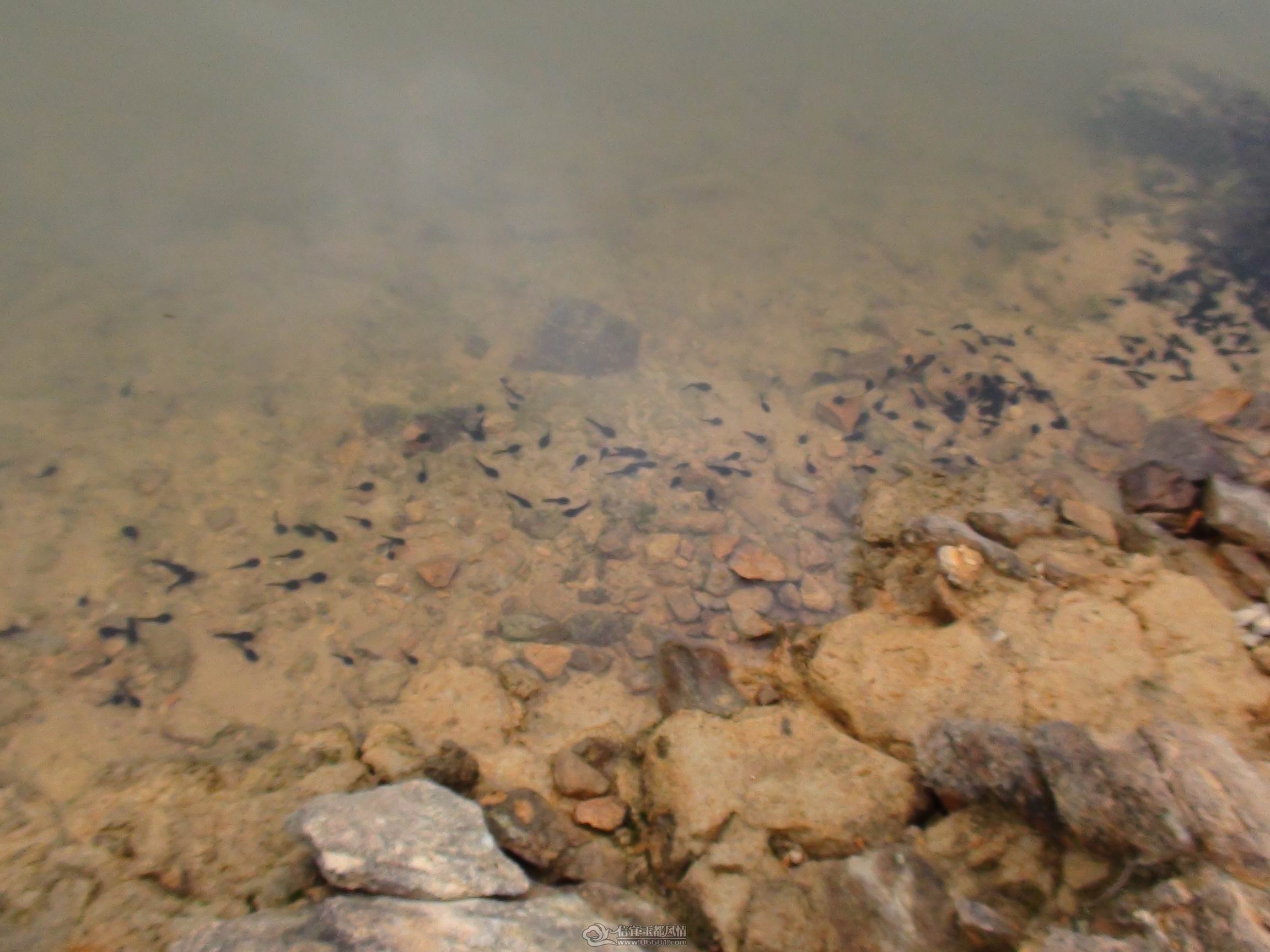 DSC05683.jpg