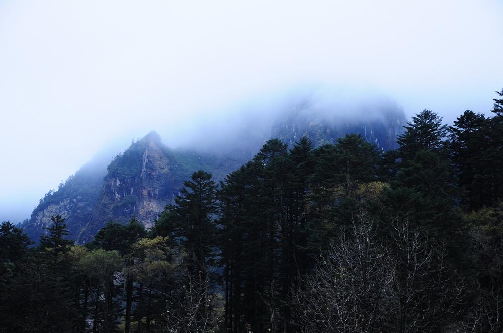 DSC_0157.jpg