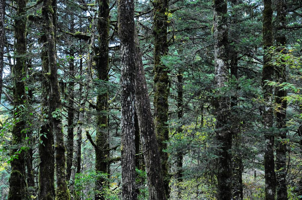 DSC_0183.jpg