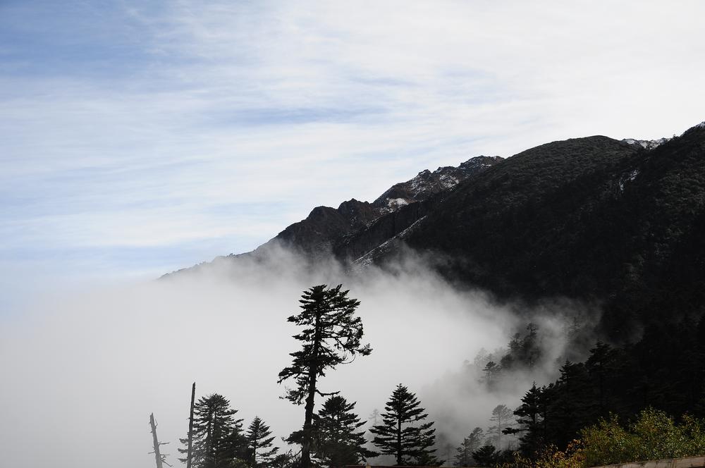 DSC_0313.jpg