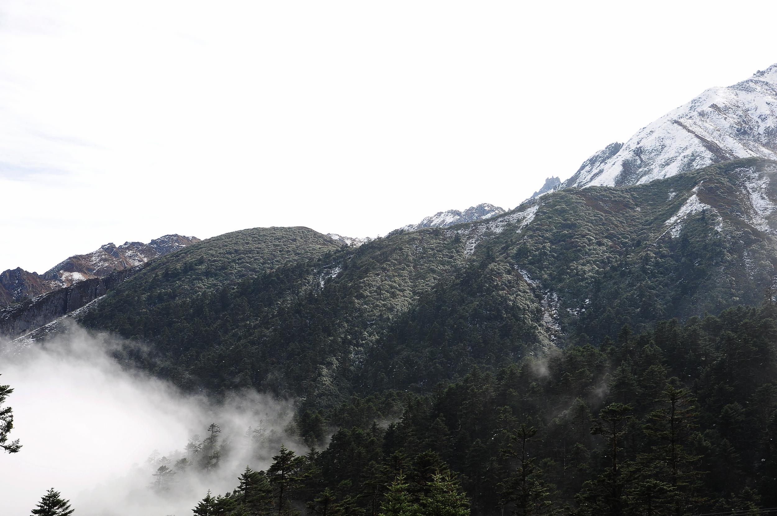 DSC_0314.jpg