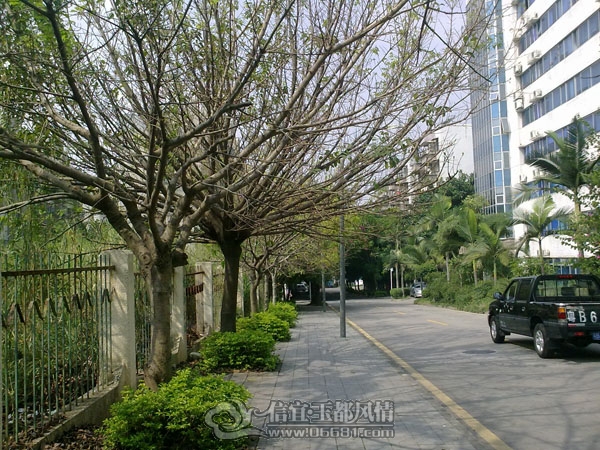201110223070.jpg