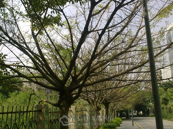 201110223069.jpg