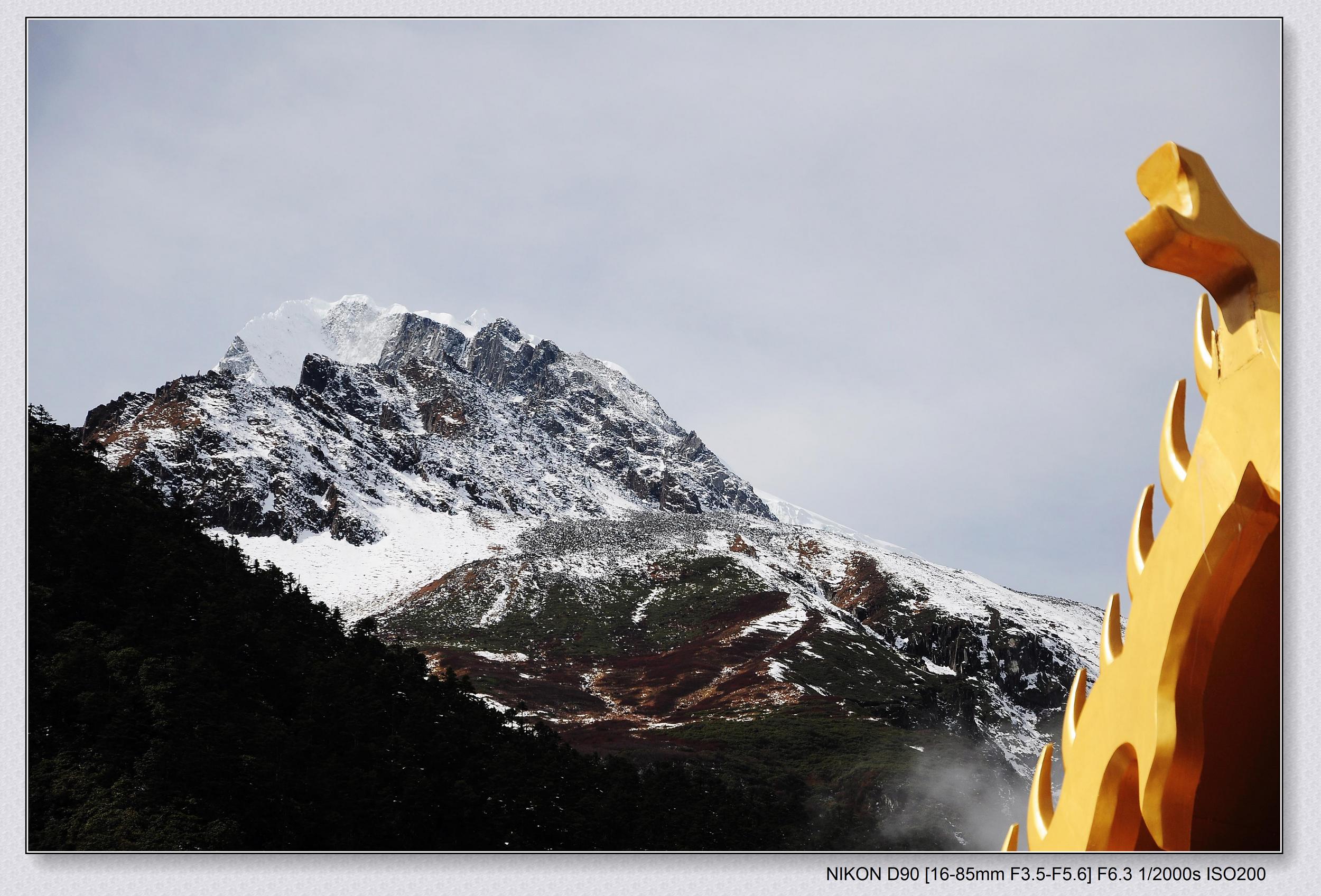 DSC_0352.jpg