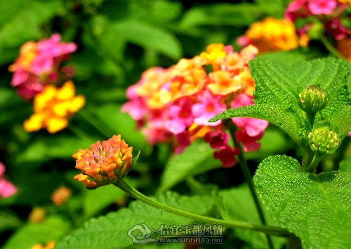 DSCN9312.JPG