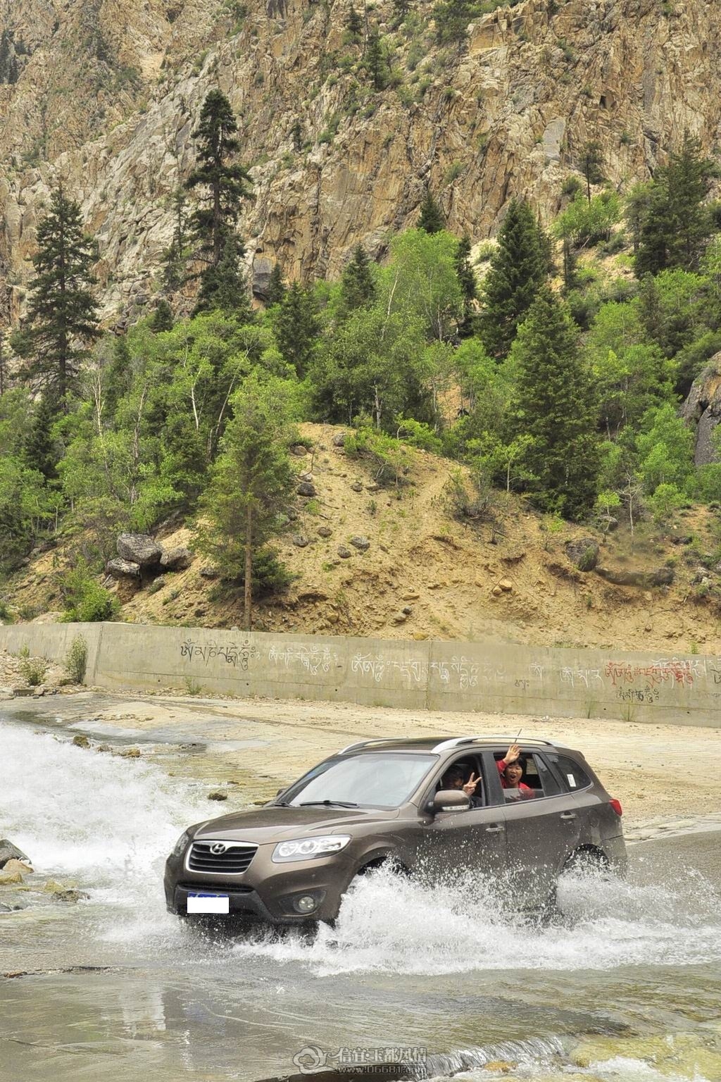_CSC2896.JPG