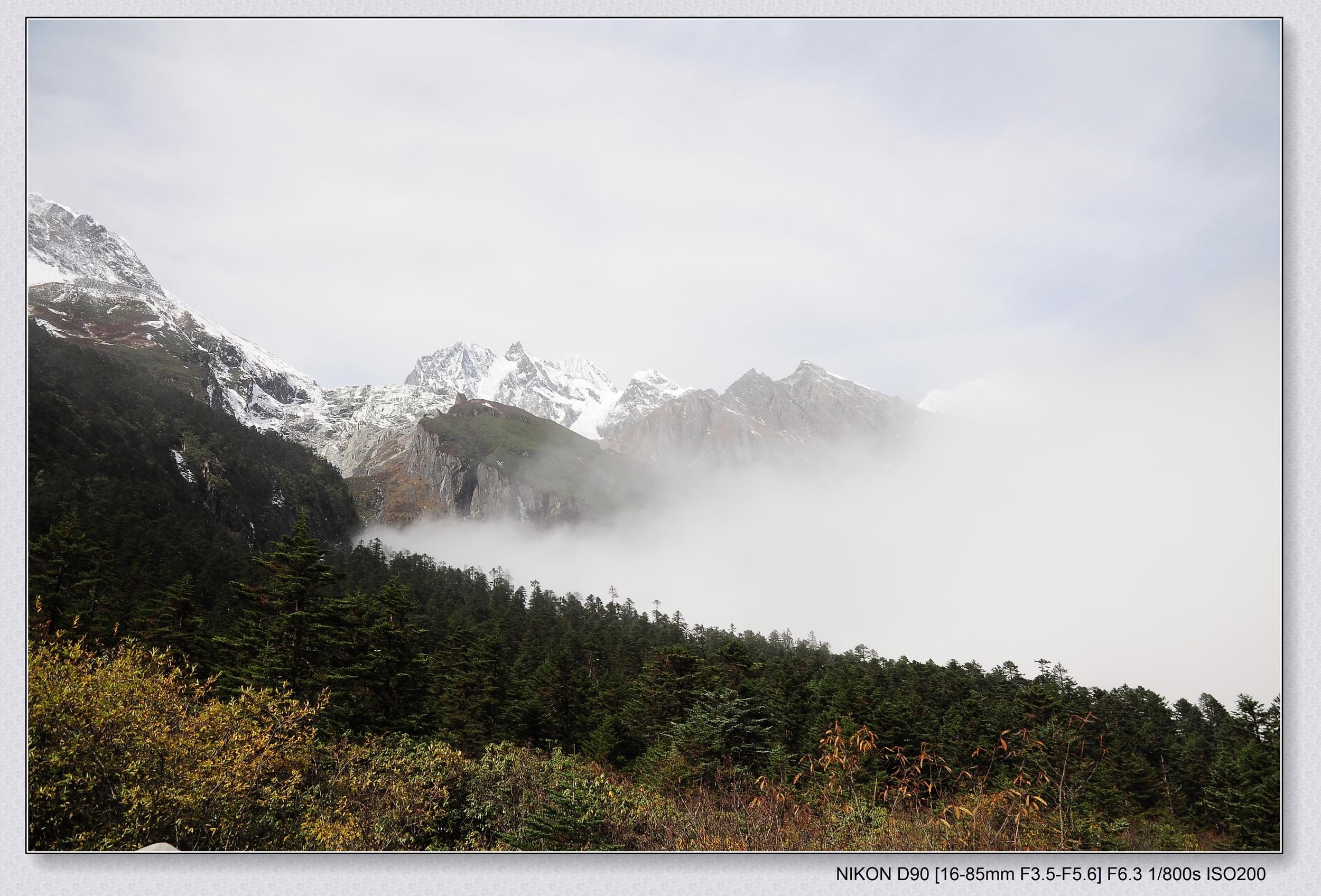 DSC_0341.jpg