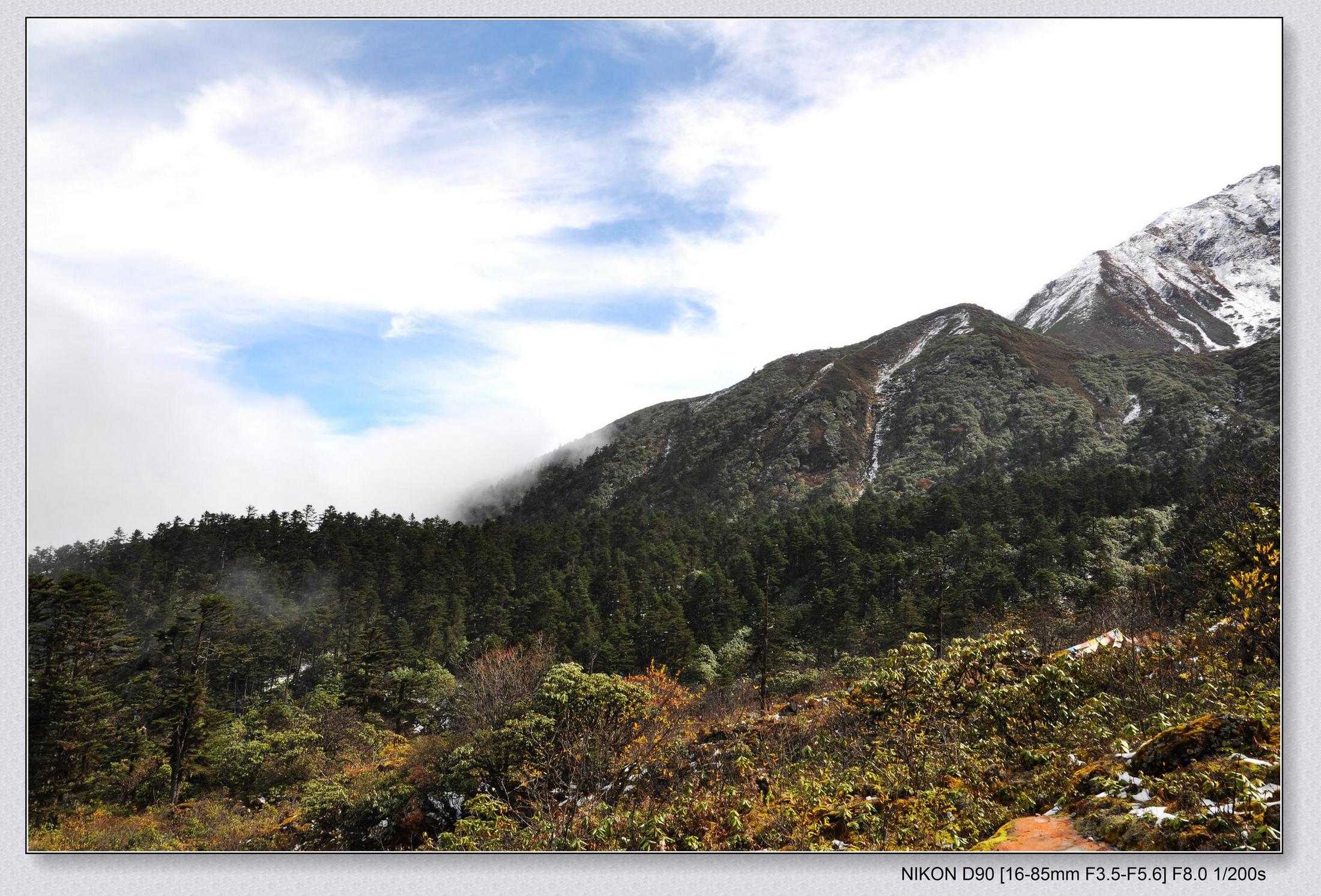 DSC_0390.jpg