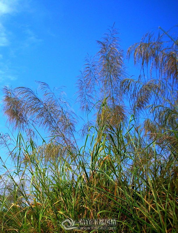 DSCN9570.JPG