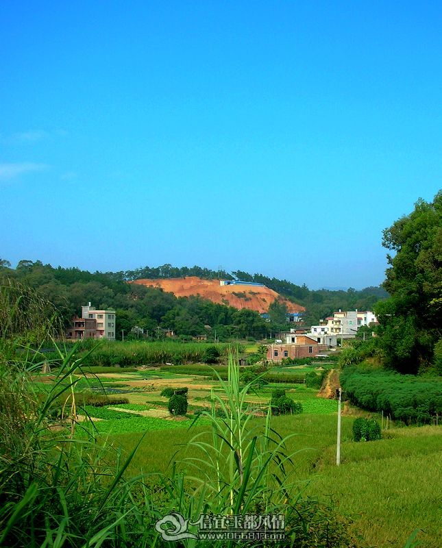 DSCN9572.JPG
