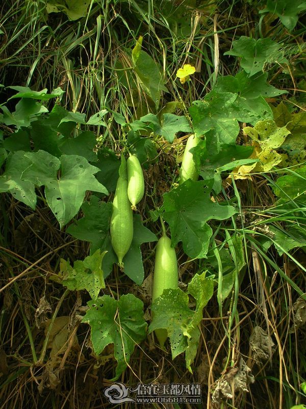DSCN9591.JPG