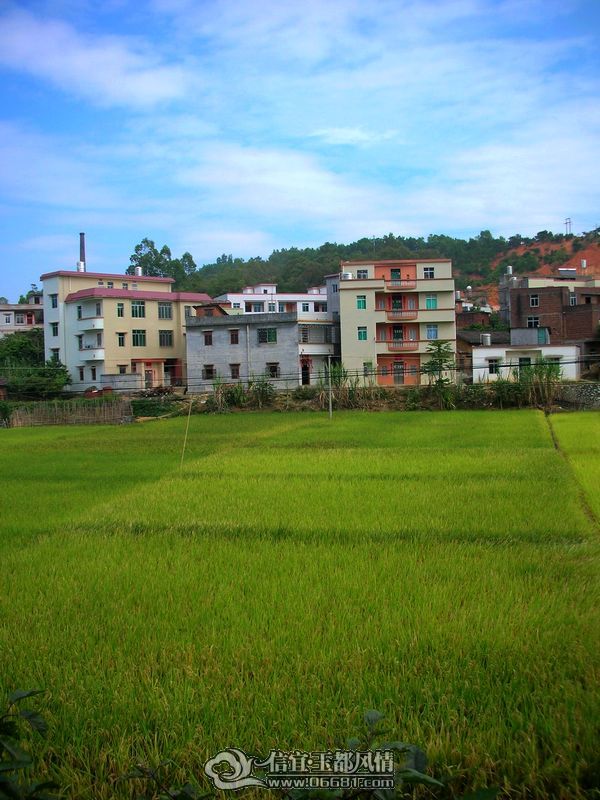DSCN9597.JPG
