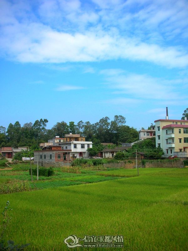 DSCN9598.JPG