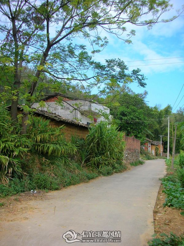 DSCN9599.JPG