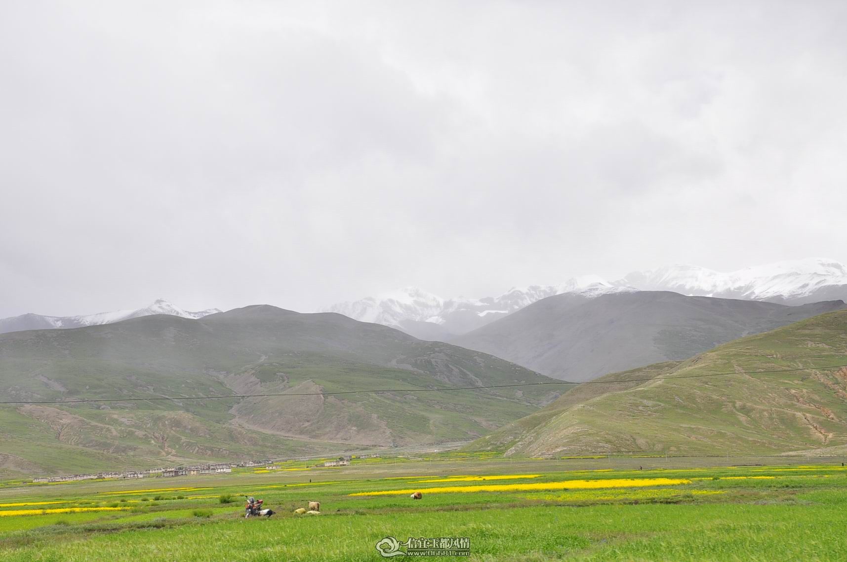 _DSC3705.JPG
