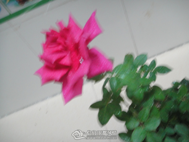 DSC09703.jpg