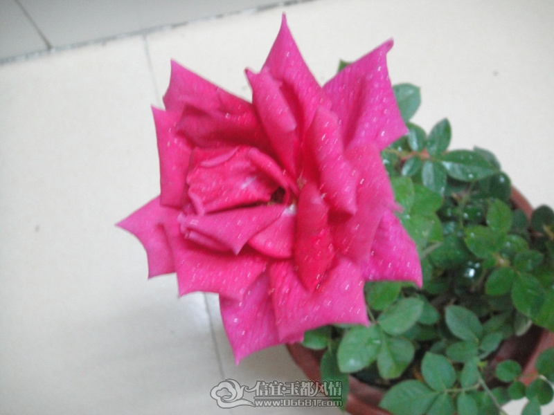 DSC09704.jpg