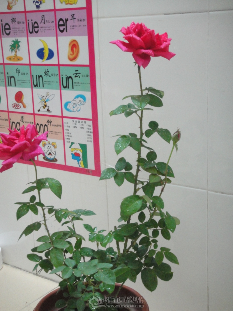 DSC09707.jpg