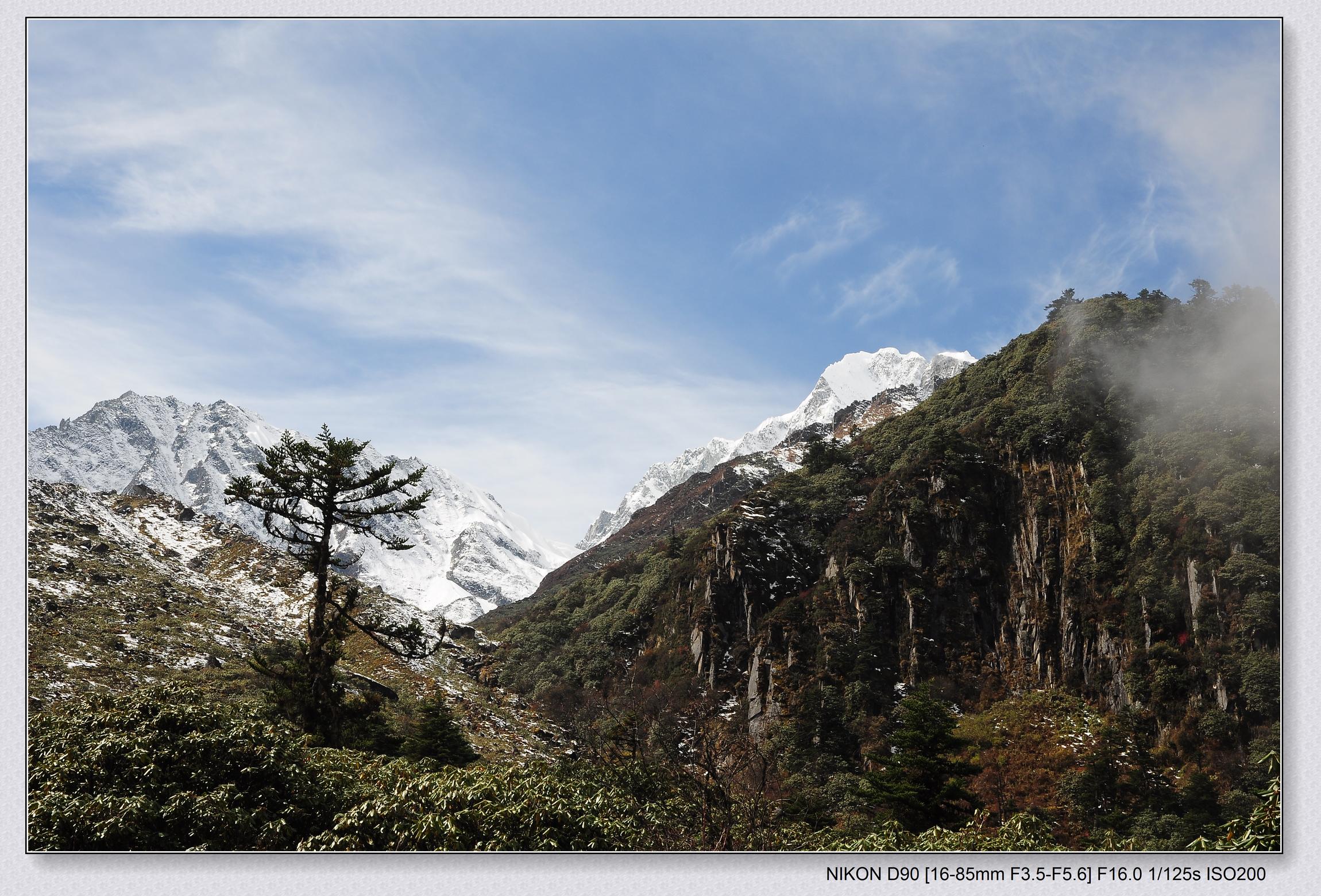 DSC_0397.jpg