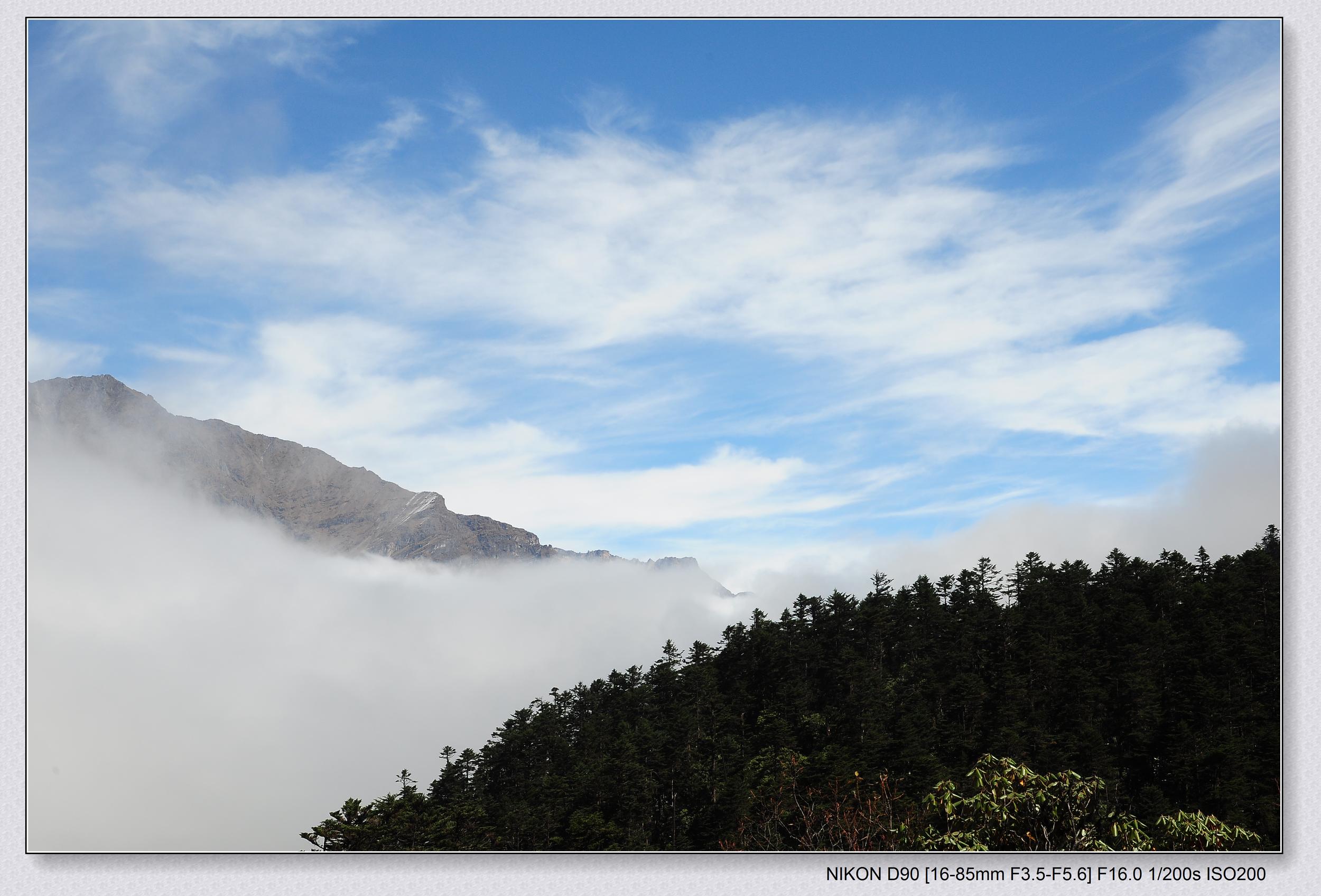 DSC_0446.jpg