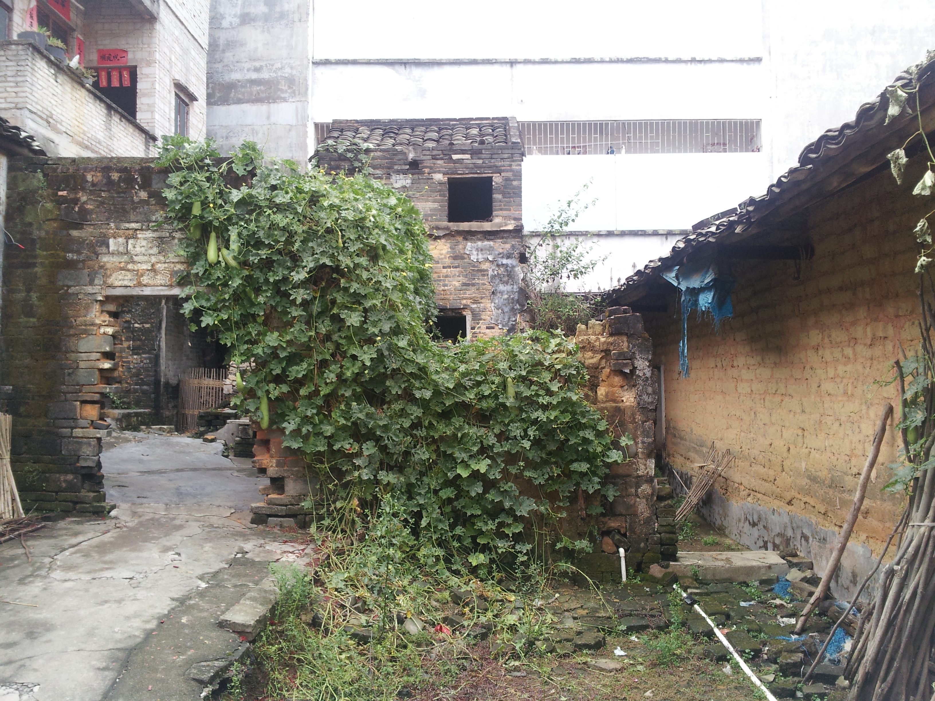20111013_170419.jpg