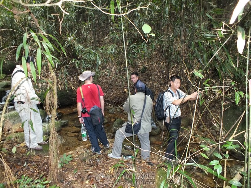 DSCF2832.jpg