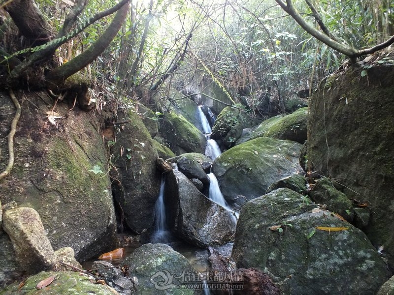 DSCF2813.jpg