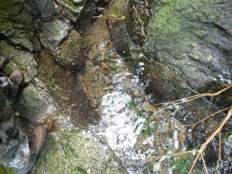 DSCF2828.jpg
