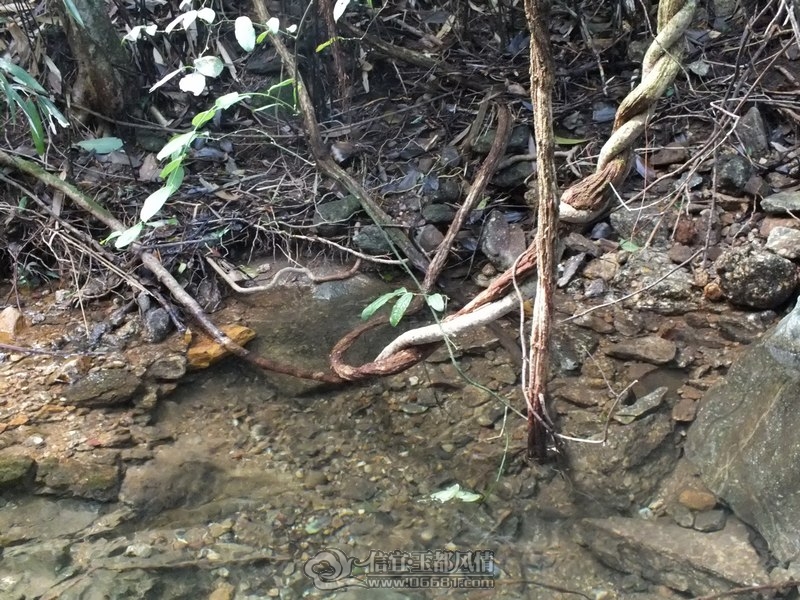 DSCF2843.jpg