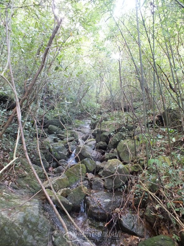 DSCF2854.jpg