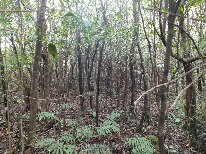 DSCF2875.jpg