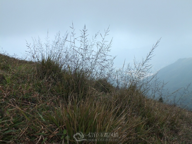 DSCF2901.jpg