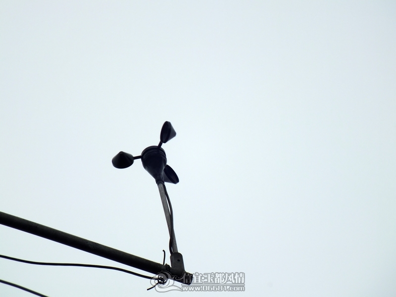DSCF2920.jpg