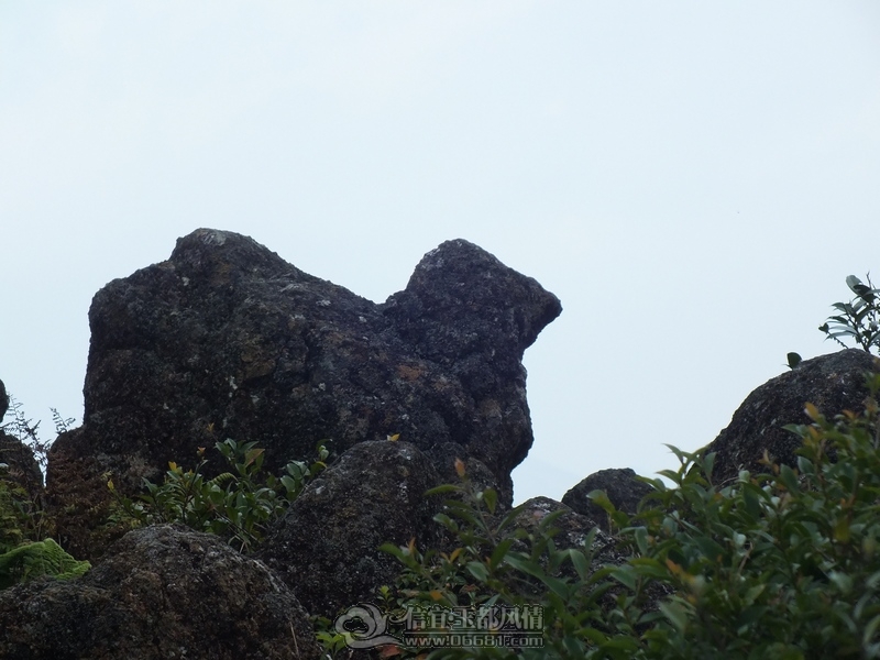 DSCF2947.jpg