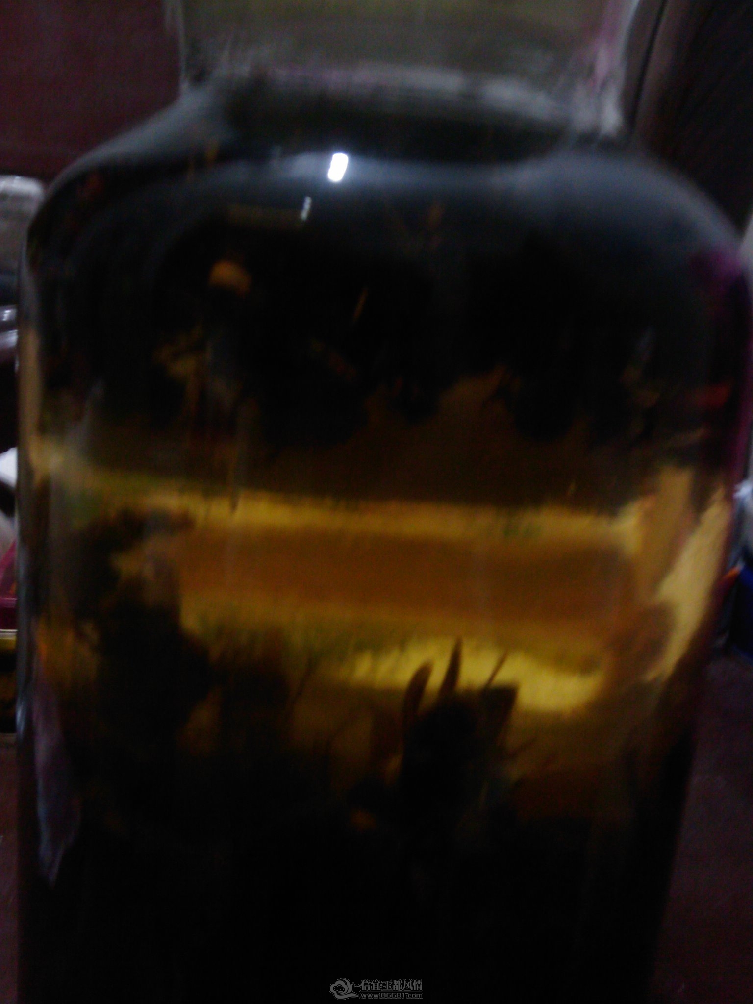 IMAG0053.jpg