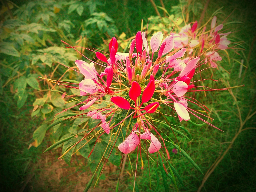 SavedPicture 11����).jpg