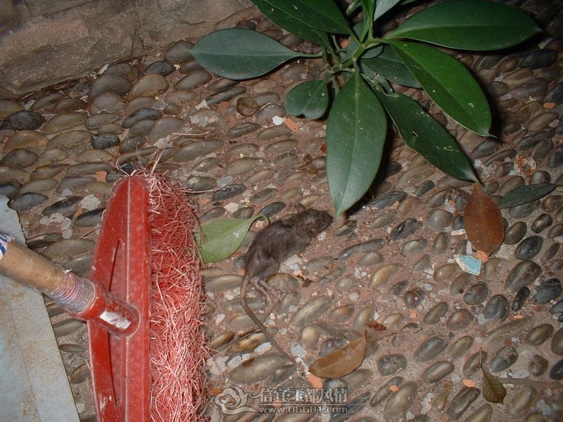 DSCF00031.jpg