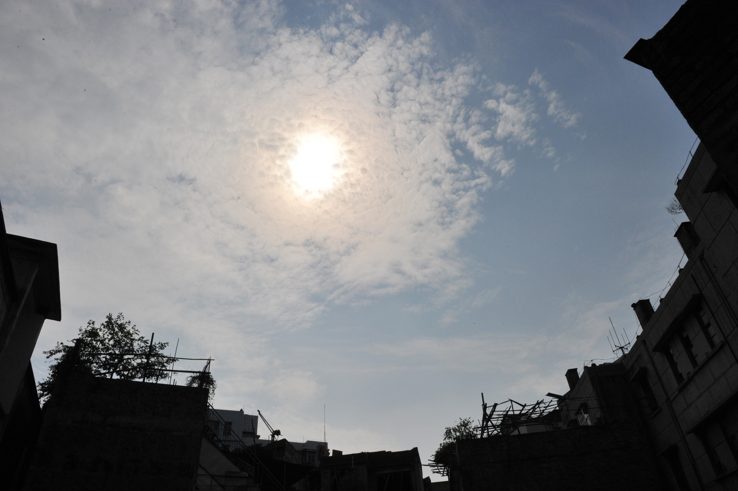DSC_9573.JPG