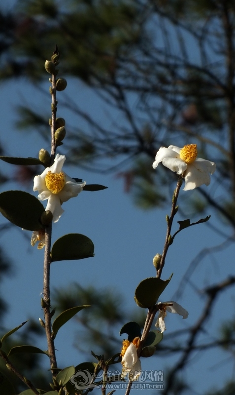 DSCF0006.jpg