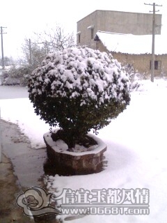 IMG0004A.jpg