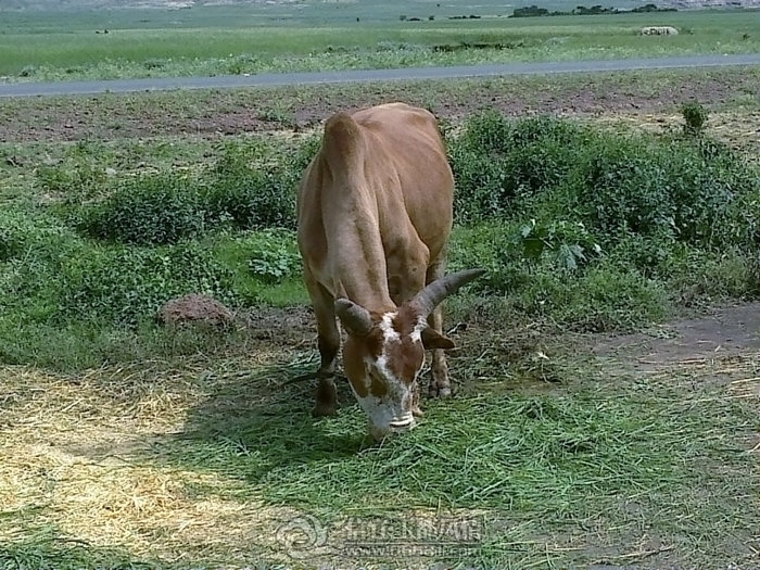 201109251236.jpg