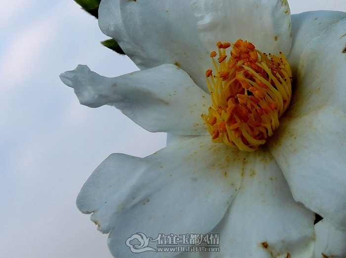 IMG_1115-1.jpg