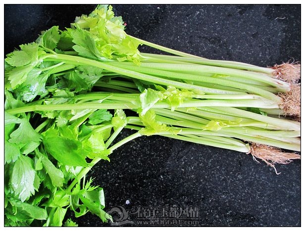�����Ź�2.jpg